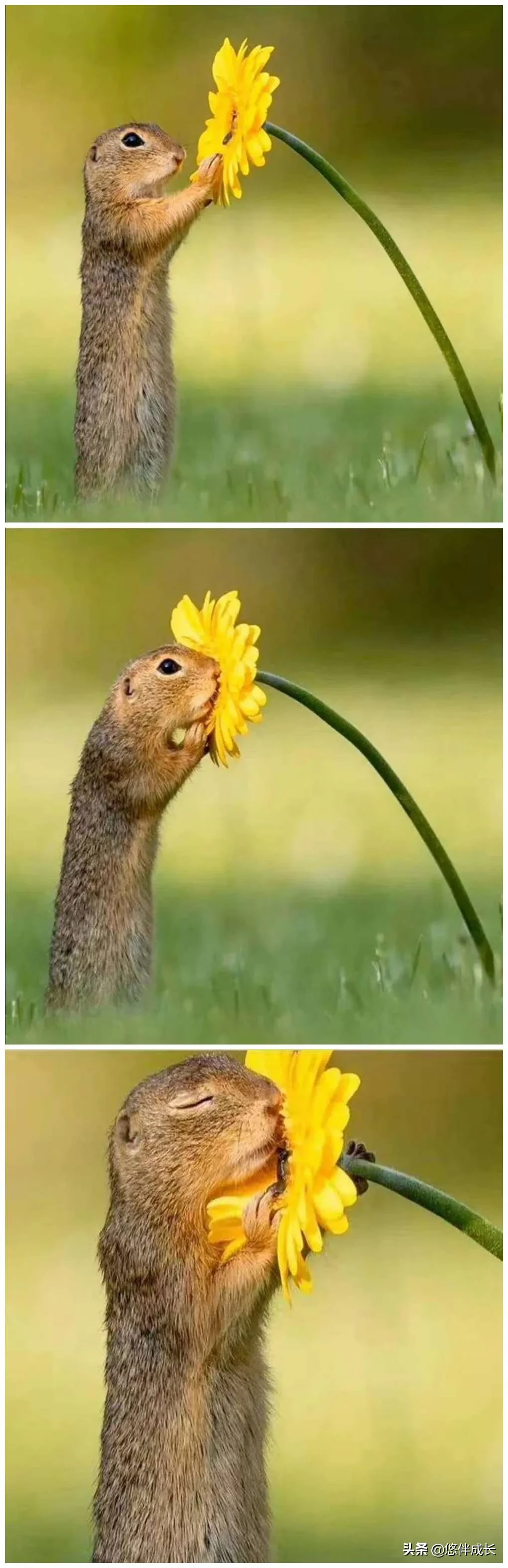 尽力就好，心态最重要