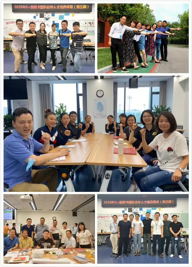 苏进为金风科技提供《团队协作五项障碍》课程