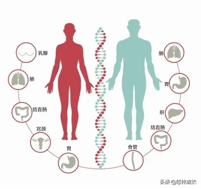 情绪和身体有着紧密的关系