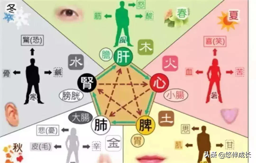 情绪和身体有着紧密的关系