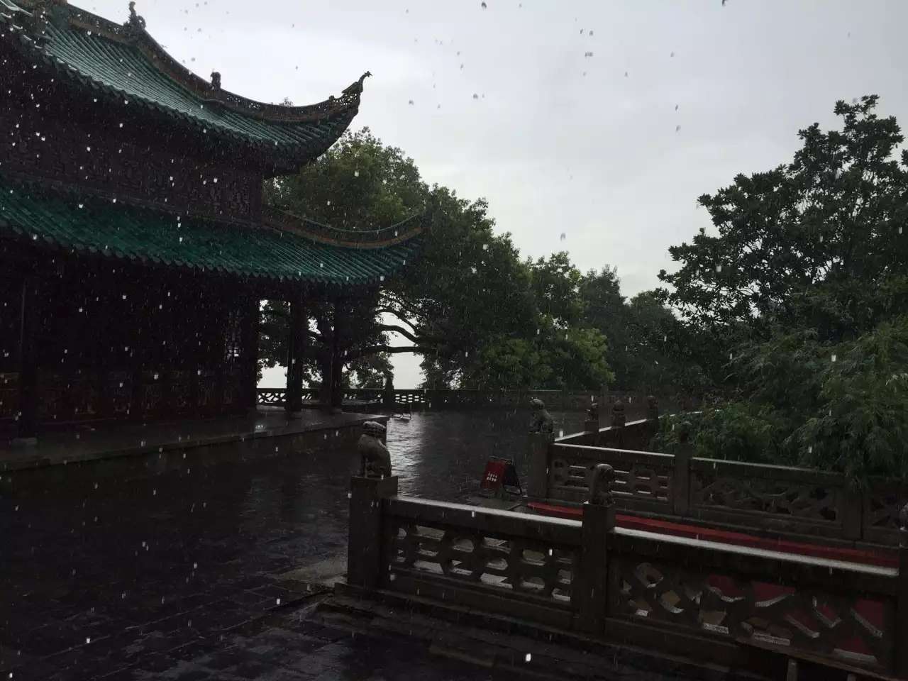 李成林给中国种业集团讲《营销创新》课程