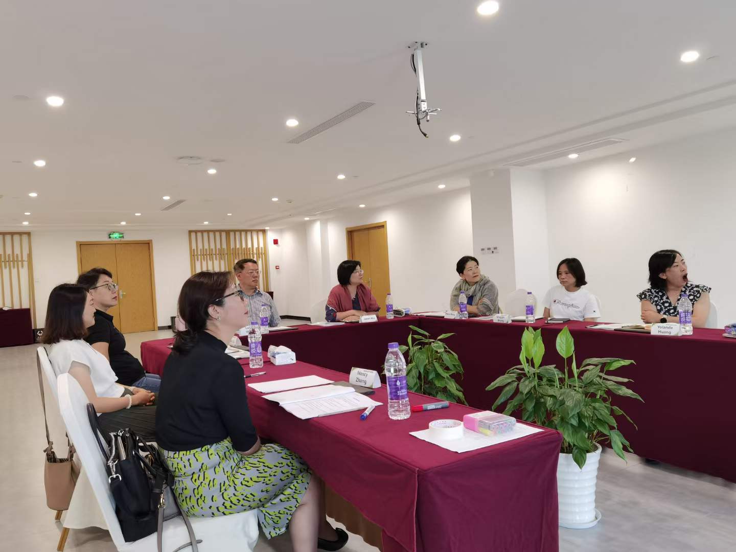 苏进为德国舍弗勒开展第二期团队协作工作坊