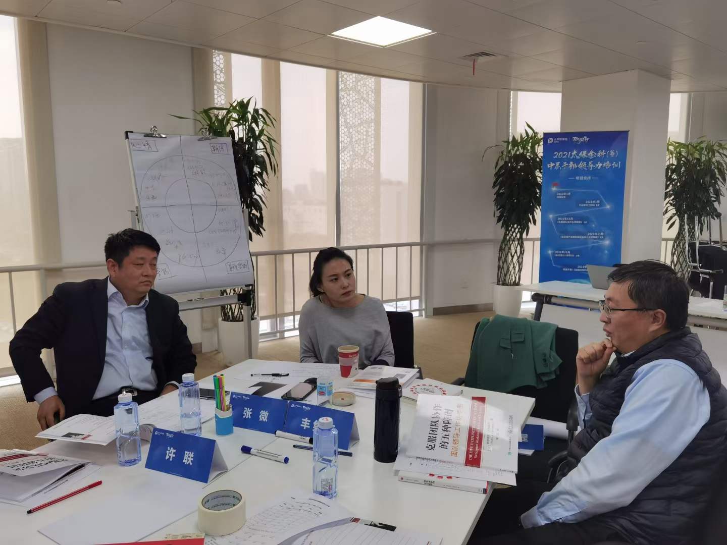 苏进为中国太保提供《克服团队协作的五种障碍