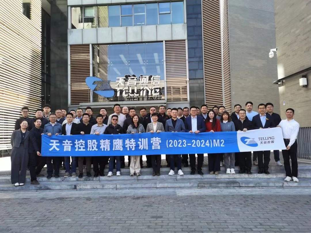 苏进为天音控股开展组织建设与引领团队工作坊